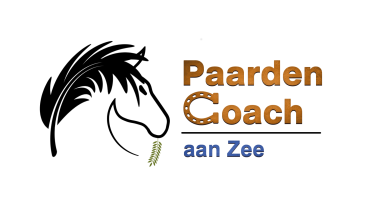 Paardencoach aan Zee | Stal Paradiso